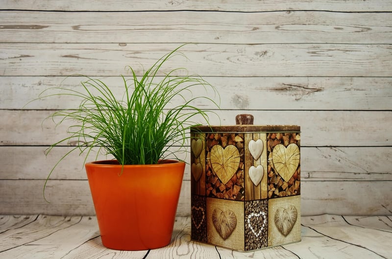 Handmade Tin Can Planters